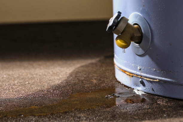 Best Flood damage cleanup  in Shawsville, VA