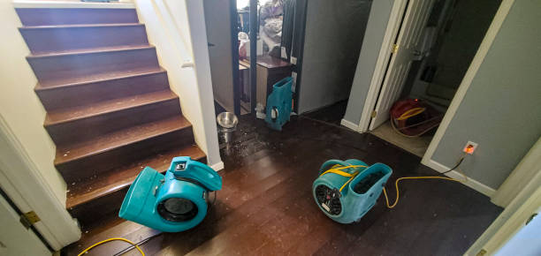 Best Water damage restoration near me  in Shawsville, VA