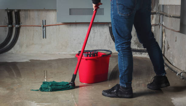 Best Water damage restoration near me  in Shawsville, VA