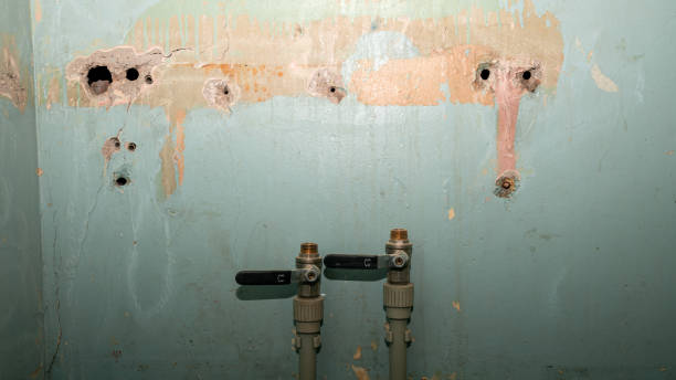 Best Water damage cleanup near me  in Shawsville, VA