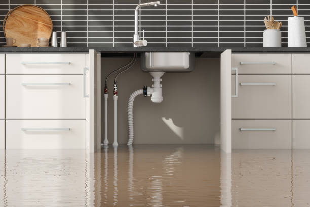 Best Basement water damage restoration  in Shawsville, VA